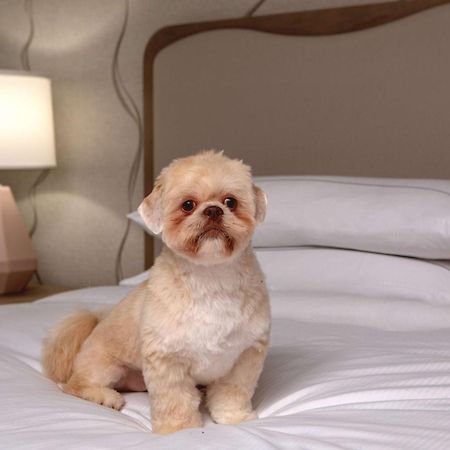 Doubletree By Hilton Hotel And Conference Center Chicago North Shore Skokie Bagian luar foto